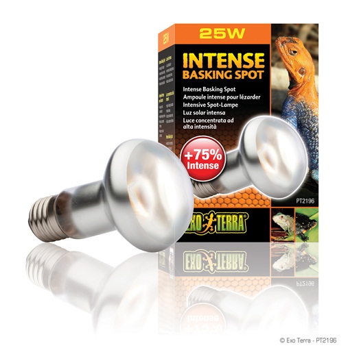 Intense Basking Spot Light 25W - Click Image to Close