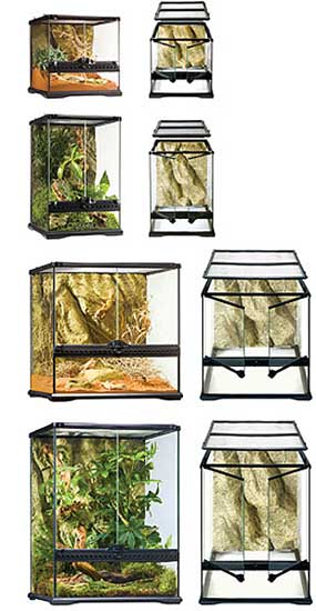 Exo-Terra Glass Terrariums