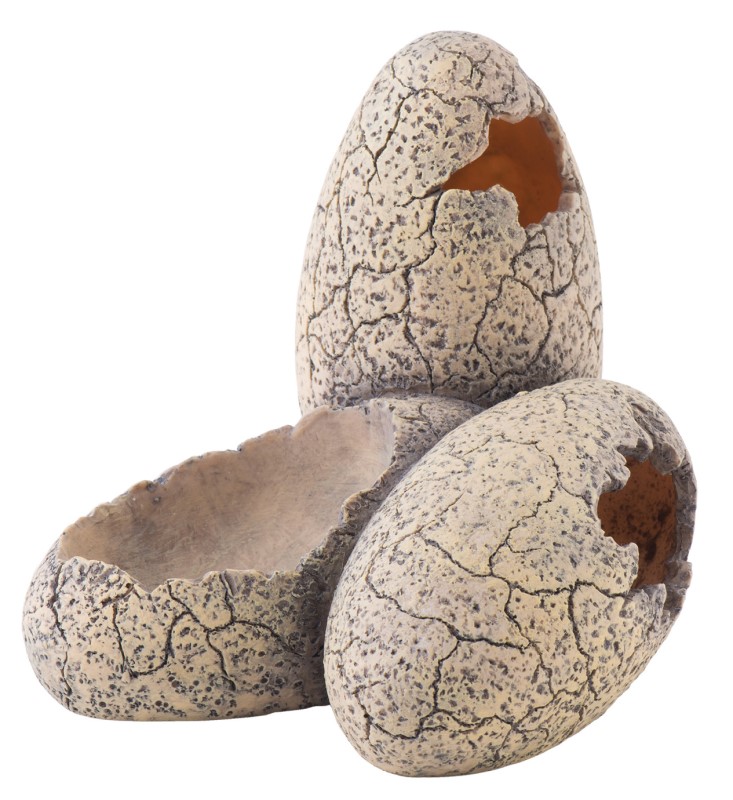 Exo Terra Dinosaur Eggs Hide Small - Click Image to Close