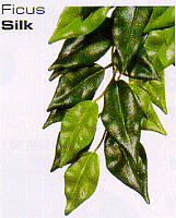 Exo Terra Jungle Plants Silk Ficus - Click Image to Close