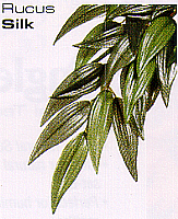 Exo Terra Jungle Plants Silk Ruscus