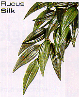 Exo Terra Jungle Plants Silk Ruscus - Click Image to Close