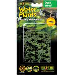 Exo Terra Floating Duckweed - Click Image to Close