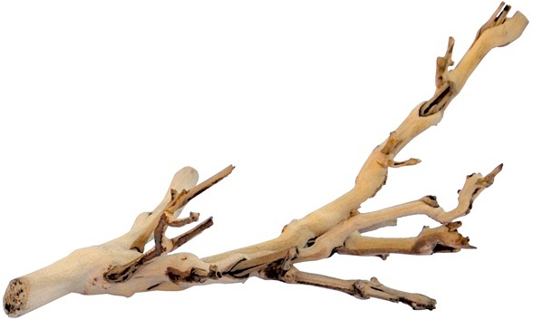 Forest Branch Sandblasted Grapevine - Click Image to Close