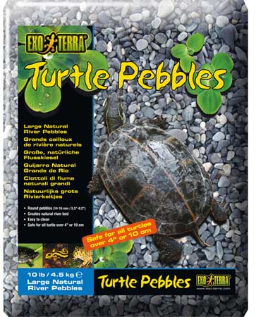 Exo Terra Small Turtle Pebbles - Click Image to Close