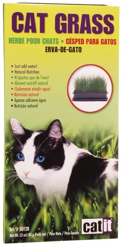 Cat Grass - Click Image to Close