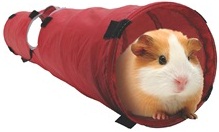 Small Animal Tunnel - Click Image to Close