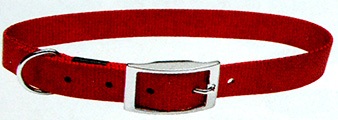 Single Ply Nylon Dog Collar with Buckle (Red) - Click Image to Close