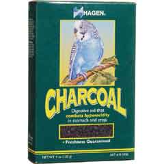 Bird Charcoal - Click Image to Close