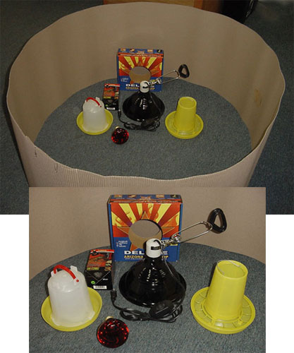Chick Brooder Starter Kit **FREE SHIPPING in USA**