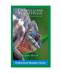 Chameleons in Captivity - Click Image to Close