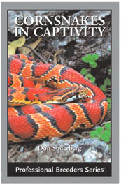 Corn Snakes in Captivity - Click Image to Close