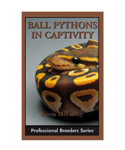 Ball Python In Captivity