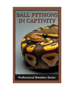 Ball Python In Captivity - Click Image to Close