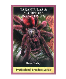 Tarantulas in Captivity by Russ Gurley