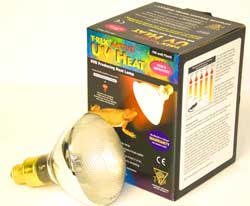 T-Rex Active UV UVB/UVA/Heat Bulbs