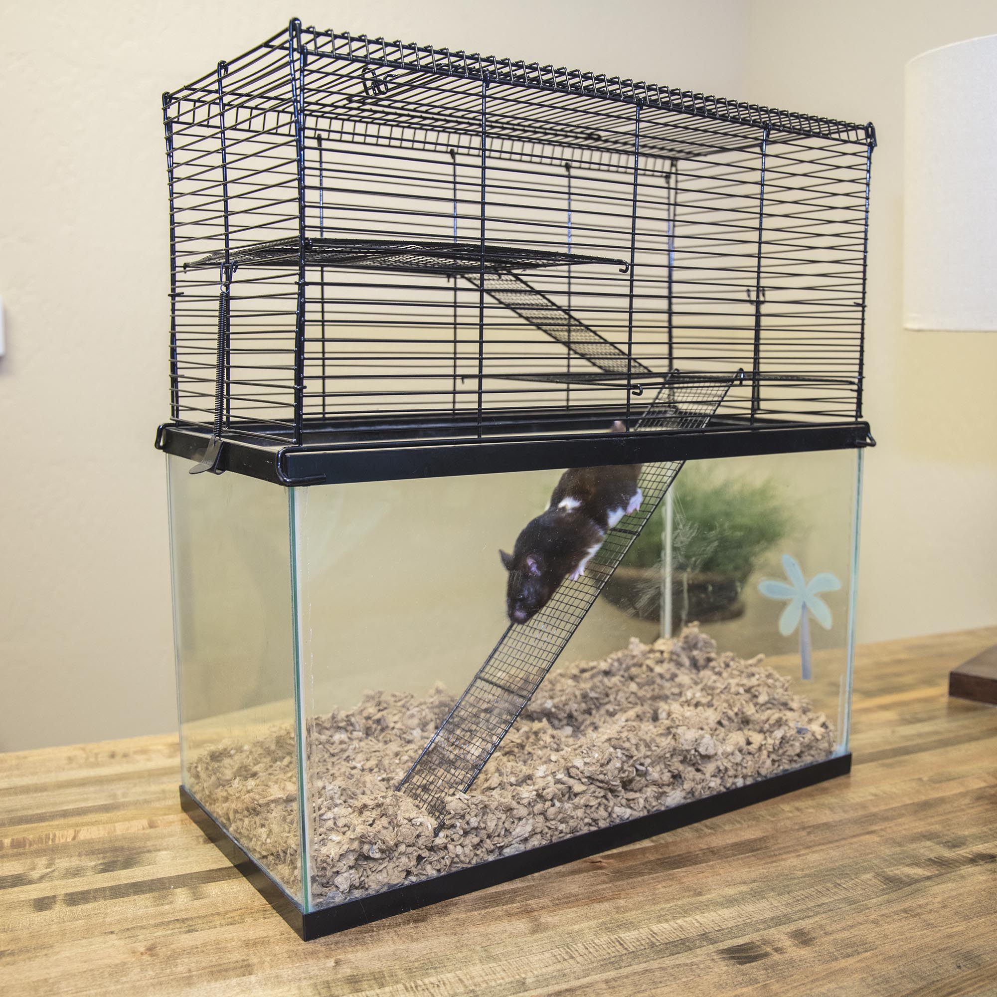 Chew Proof Small Animal High Rise Tank Toper - Click Image to Close