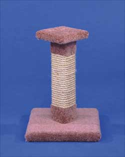 Kitty Cactus with Sisal & Top by Ware Pet