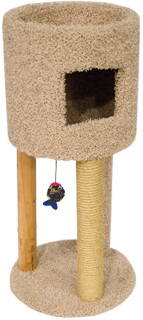 Kitty Condo with Playground