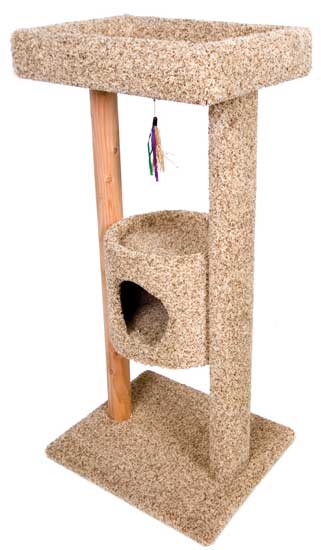 Kitty Tree Top Terrace
