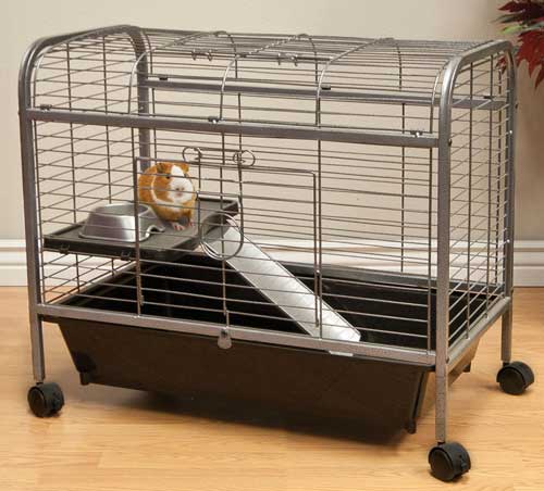 Living Room Guinea Pig Home - Click Image to Close