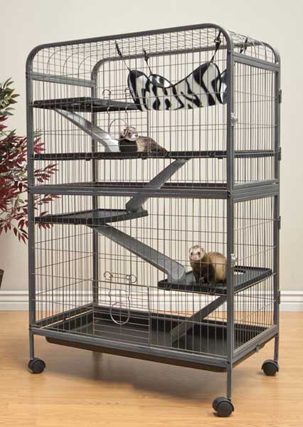 Living Room Ferret Home by Ware Pet