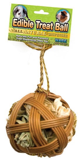 Edible Treat Ball 4" by Ware Pet