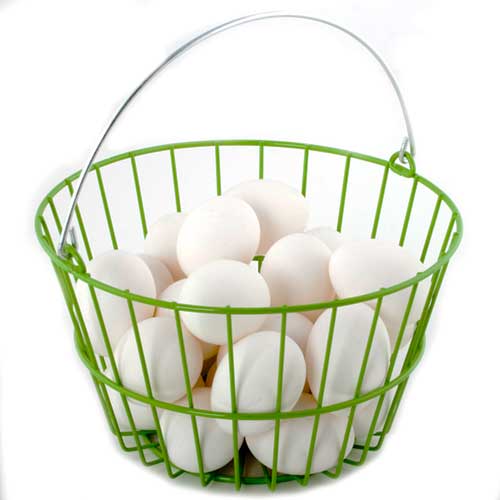 ChickenWare Egg Basket