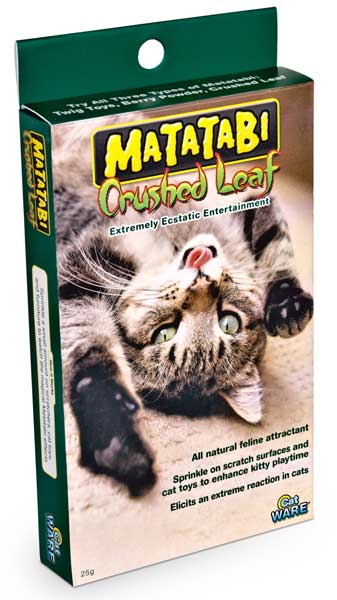 Catnip - Matatabi